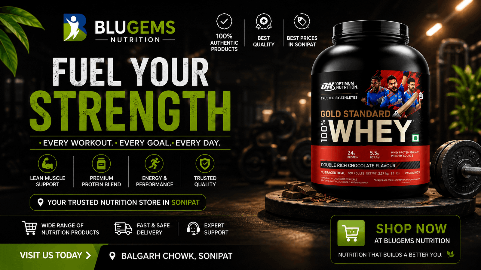 Blugems Optimum Nutrition banner, desktop